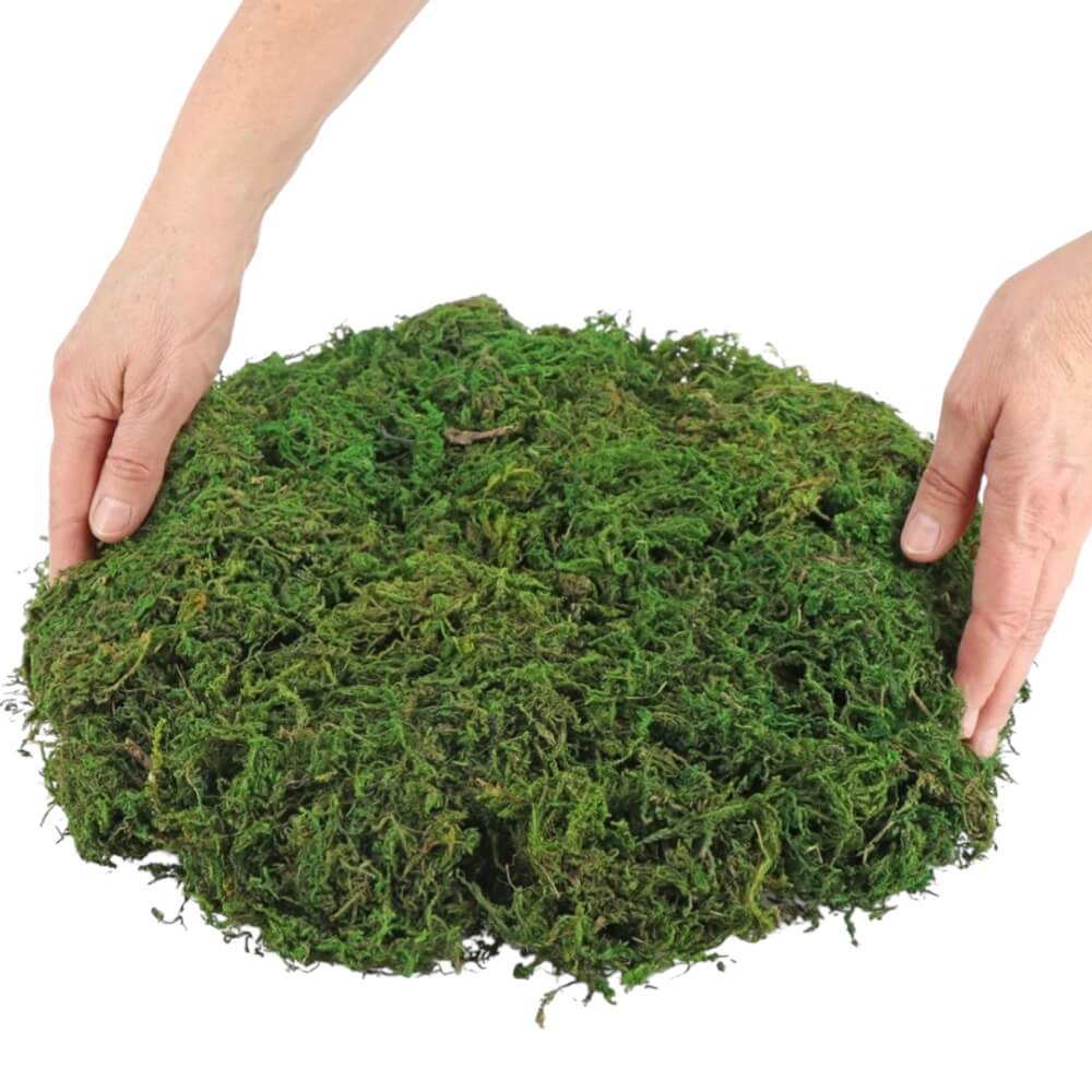 Mahovina 100g