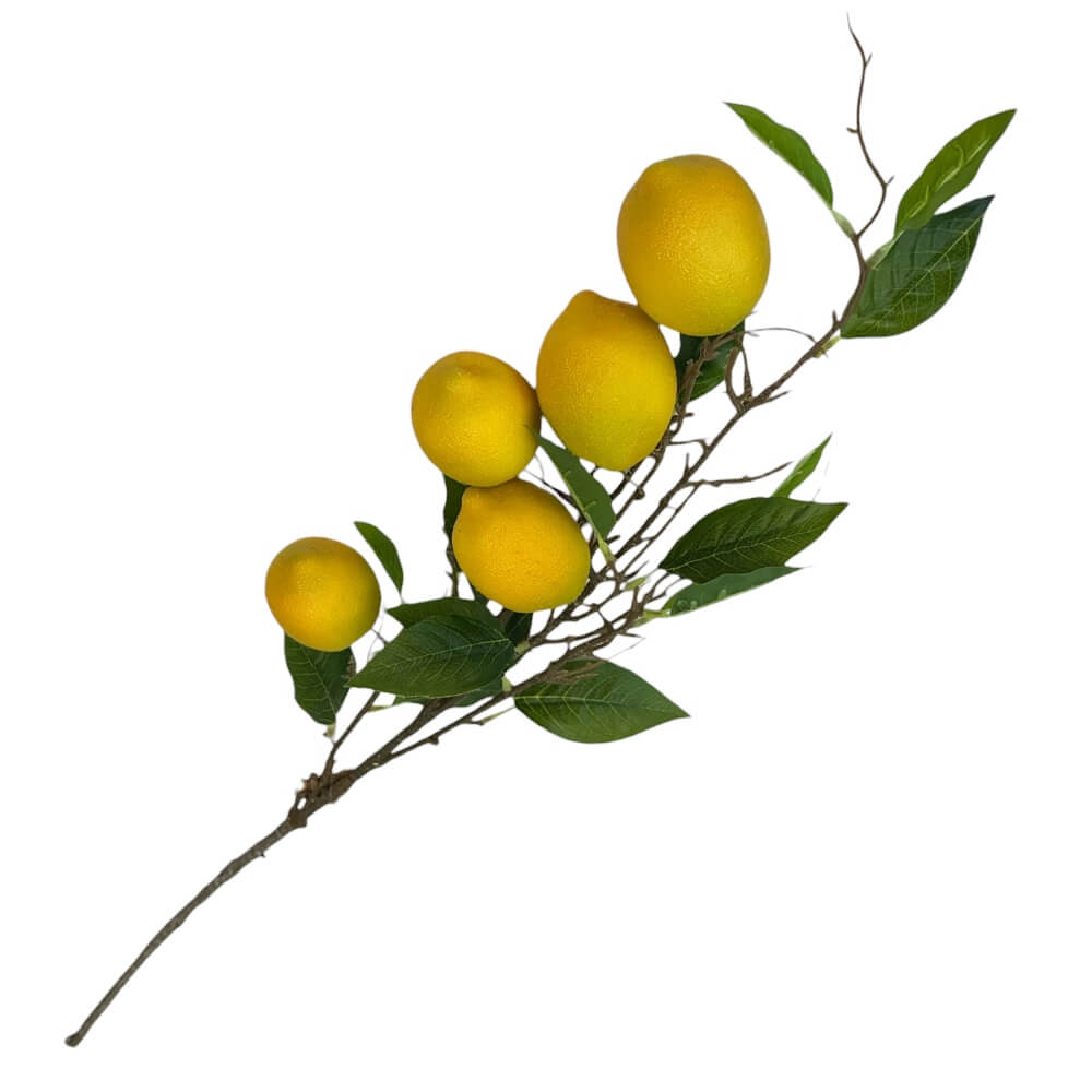 Grana limuna 100cm