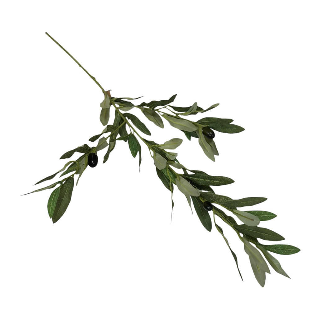 Grana masline 88cm