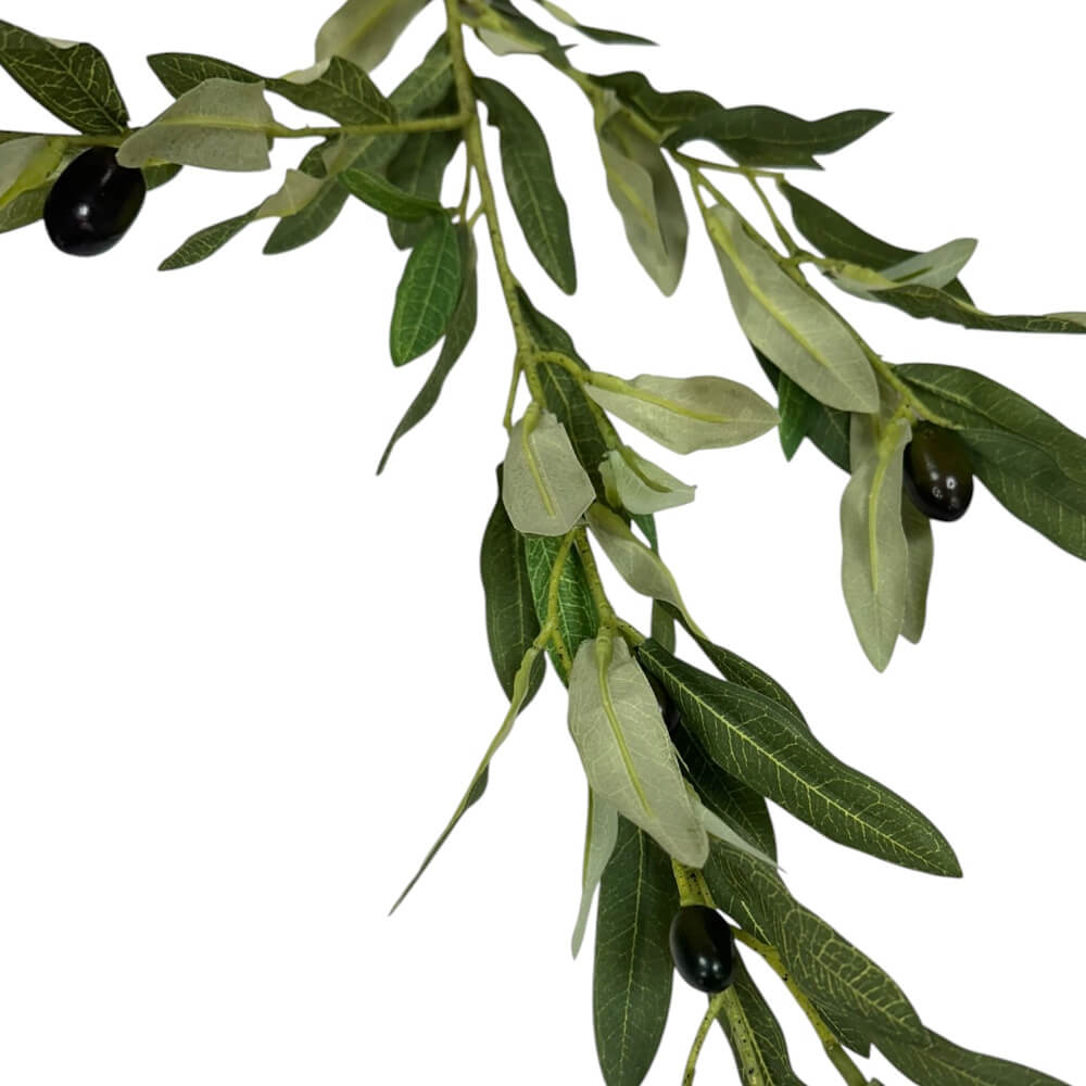 Grana masline 88cm - Slika 3