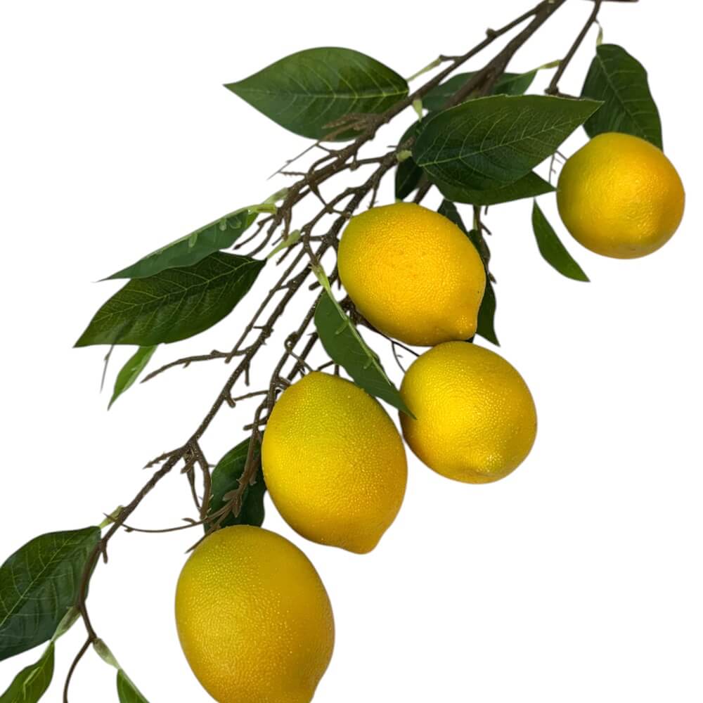 Grana limuna 100cm - Slika 2
